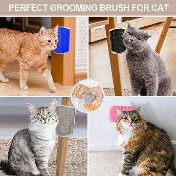 Corner Massage Cat Comb